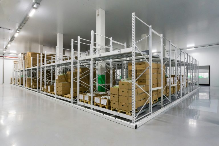 Pallet Truck Fundamentals Everything You Need to Know