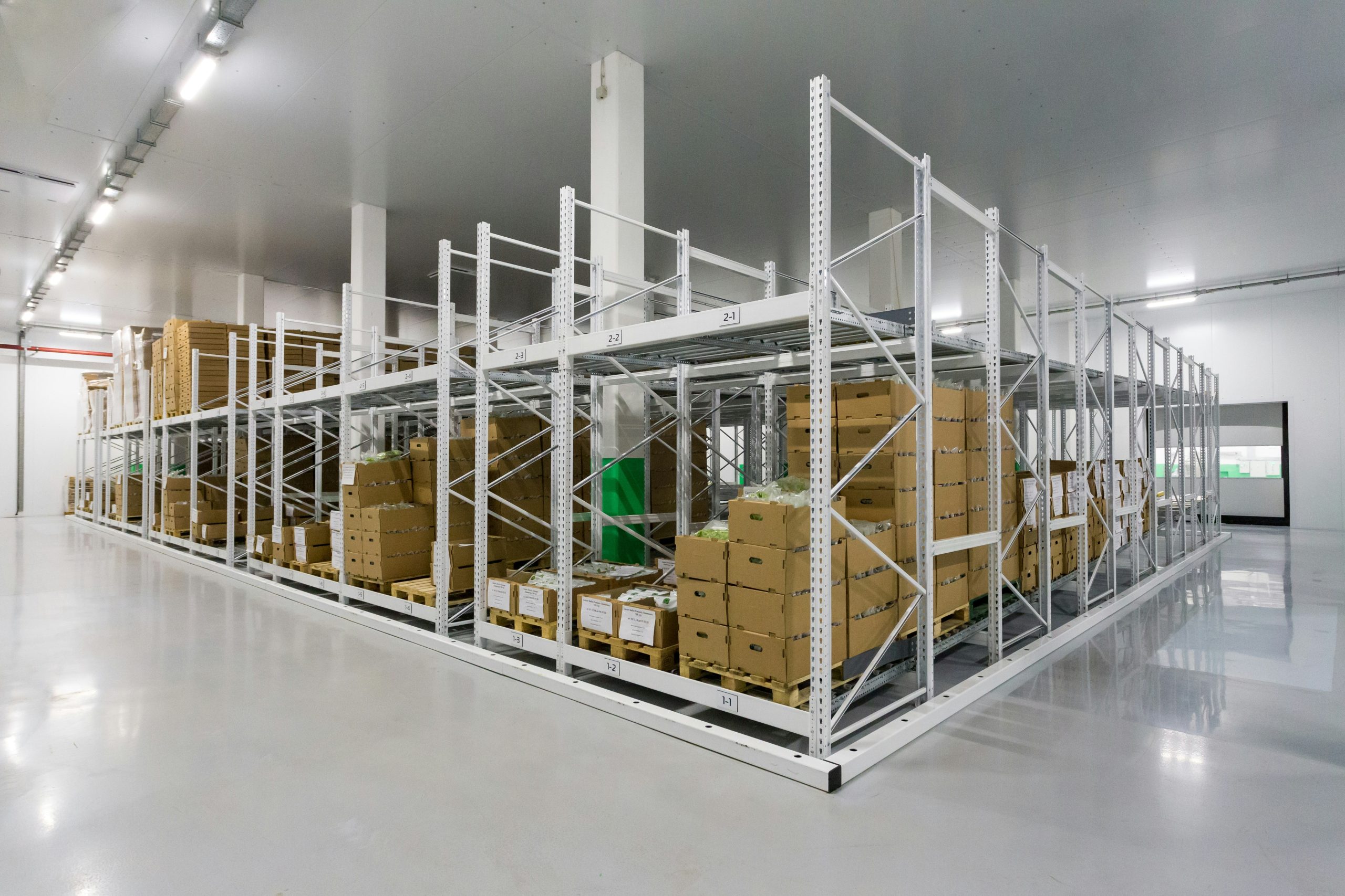 Pallet Truck Fundamentals Everything You Need to Know